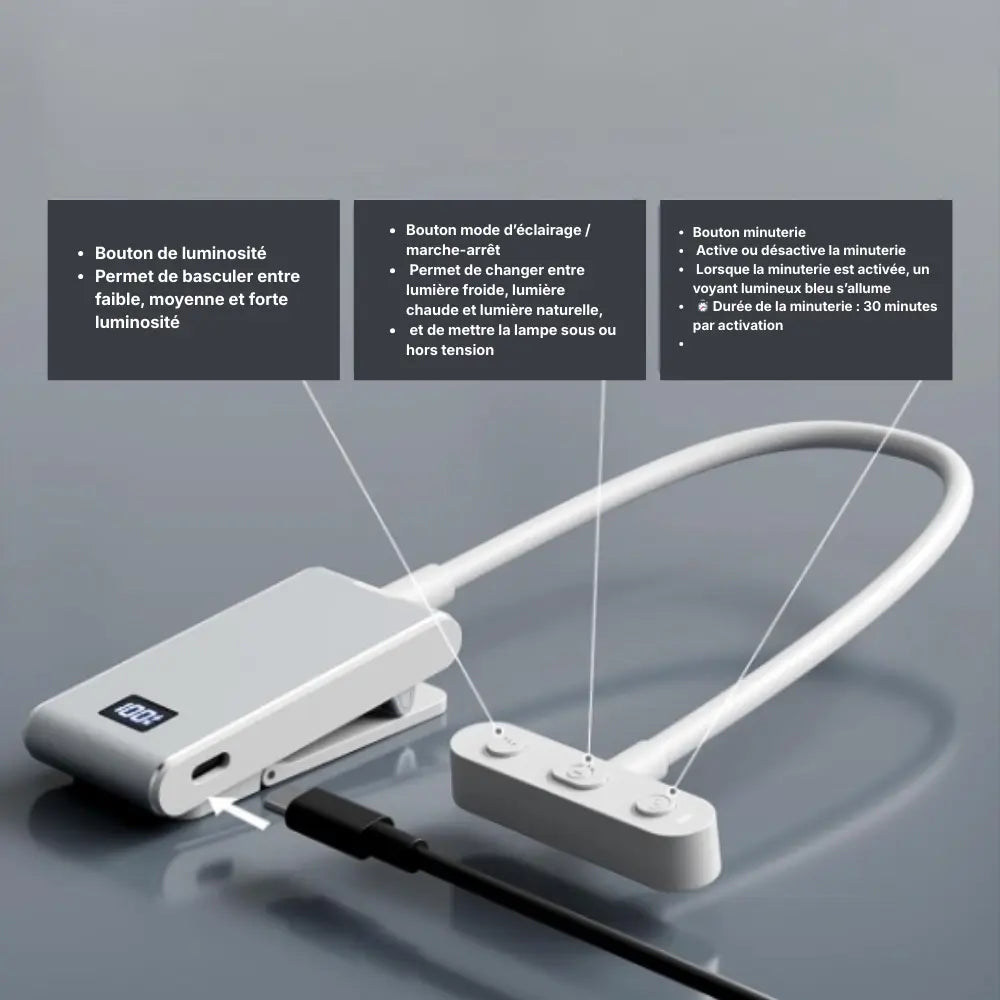 Lampe de lecture flexible à courbure ajustable interne 